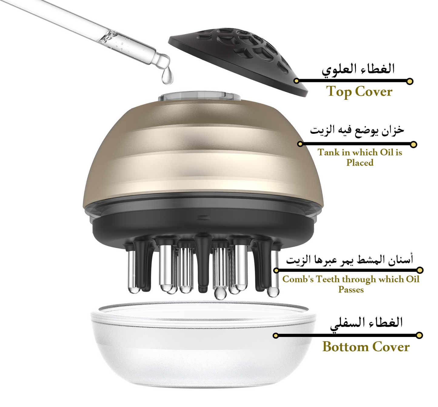 مشط لتوزيع زيت الشعر - الحل الأفضل لتسهيل عملية إيصال الزيت إلى جذور الشعر وتوزيعه بالتساوي على فروة الرأس - يُدلك فروة الرأس ويُساعد على الاسترخاء
